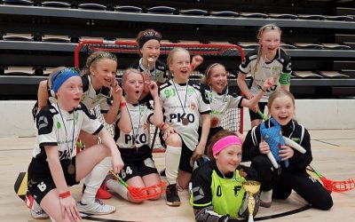 FB Factorin E-tyttöjen Carelia joukkue voitti pronssia Särkänniemen Salibandy Cupissa.