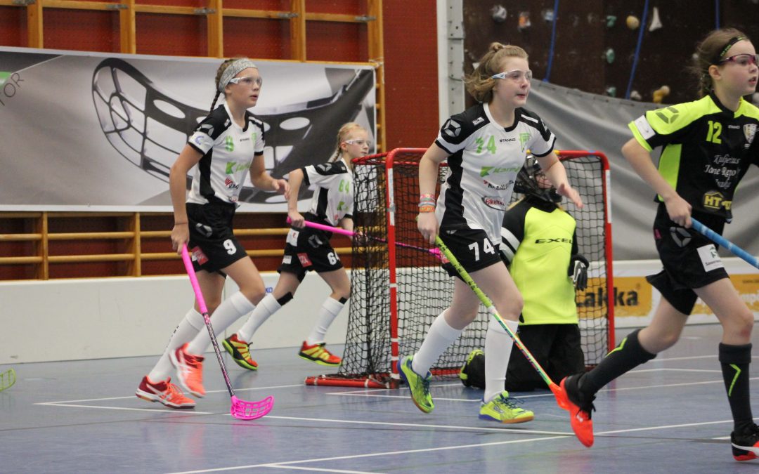 D-tyttöjen otteluraportti Vilupuron Areenalta