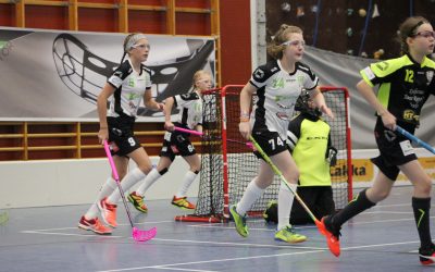 D-tyttöjen otteluraportti Vilupuron Areenalta