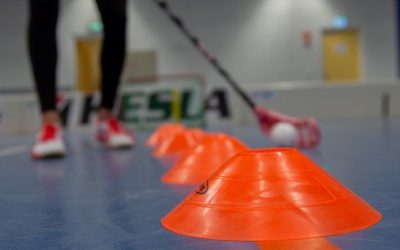 Kauden 2020-2021 Tekijät on valittu!